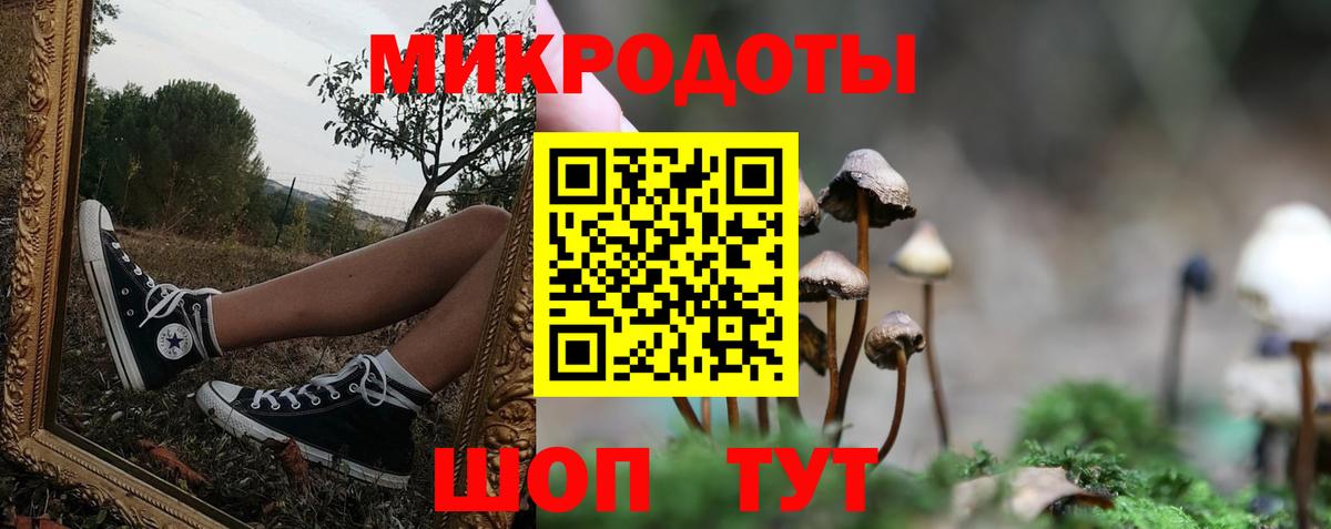 как найти закладки  Галлюциногенные грибы Psilocybe  Галлюциногенные грибы Cubensis  Вход с VPN  Янаул 